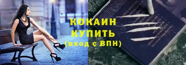 твердый Аркадак