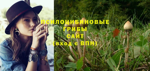 а пвп мука Армянск