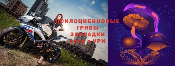 твердый Аркадак