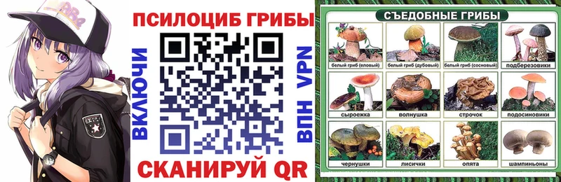 мориарти клад  Бавлы  omg как войти  Псилоцибиновые грибы Magic Shrooms  наркота 